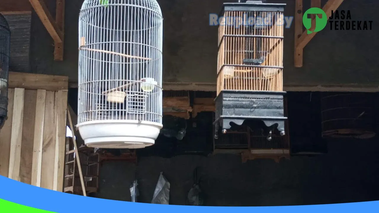 Gambar Kios burung/pakan burung Dedi ompong di Tulang Bawang, Lampung ke 2