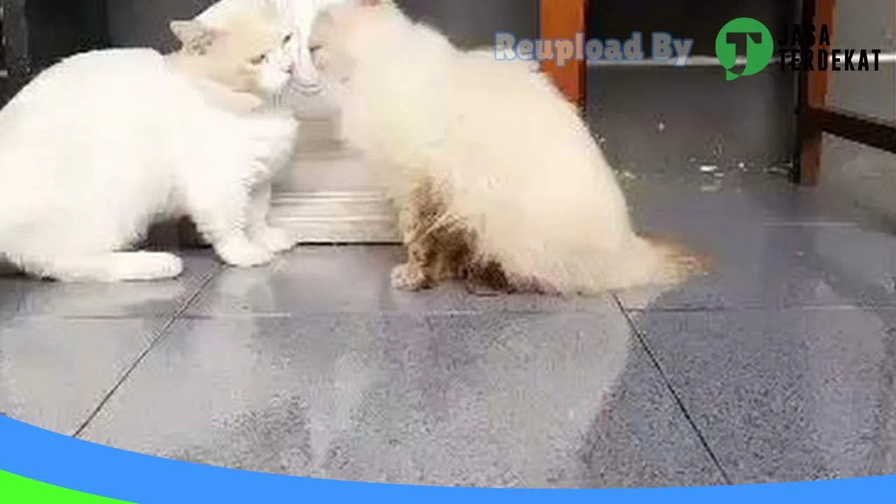 Gambar Kalimosodo Petshop di Kota Madiun, Jawa Timur ke 4