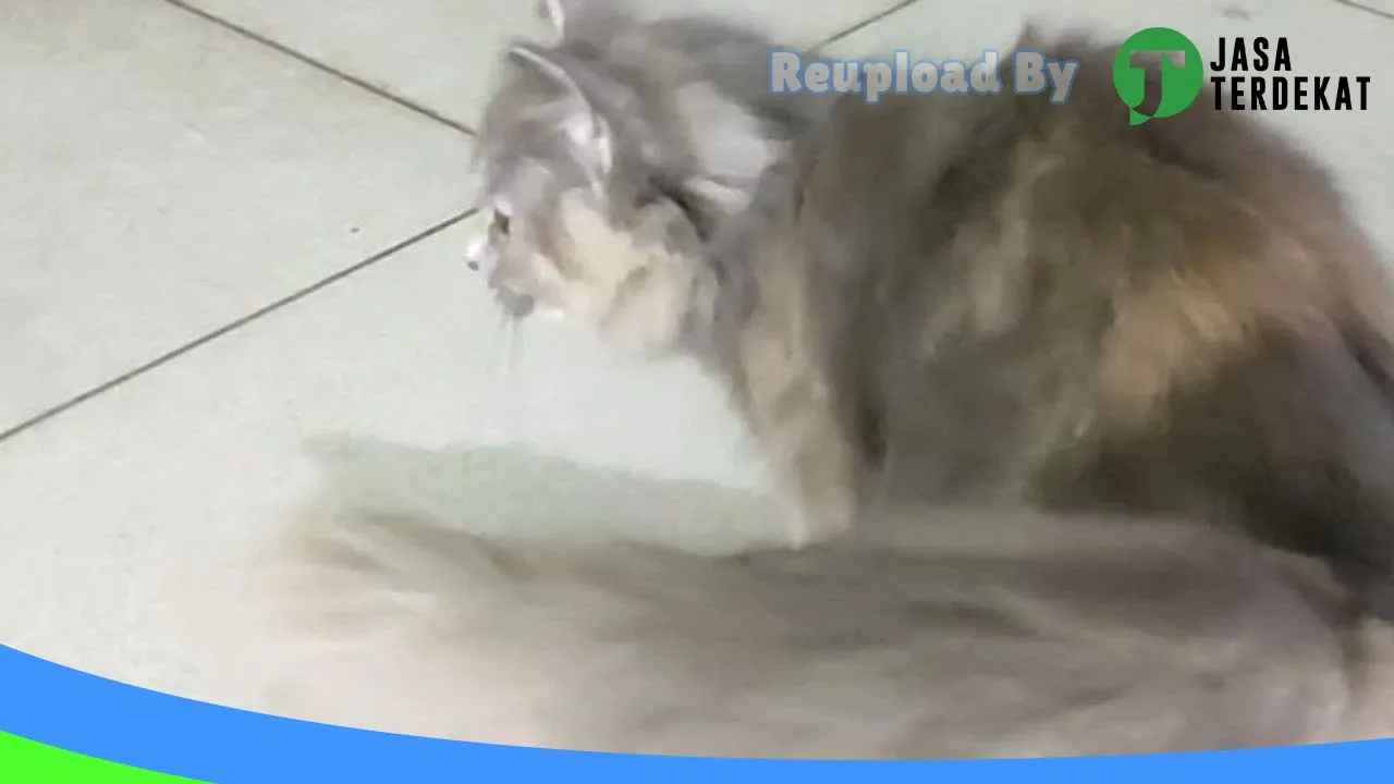 Gambar Honey Petshop di Bintan, Kepulauan Riau ke 2