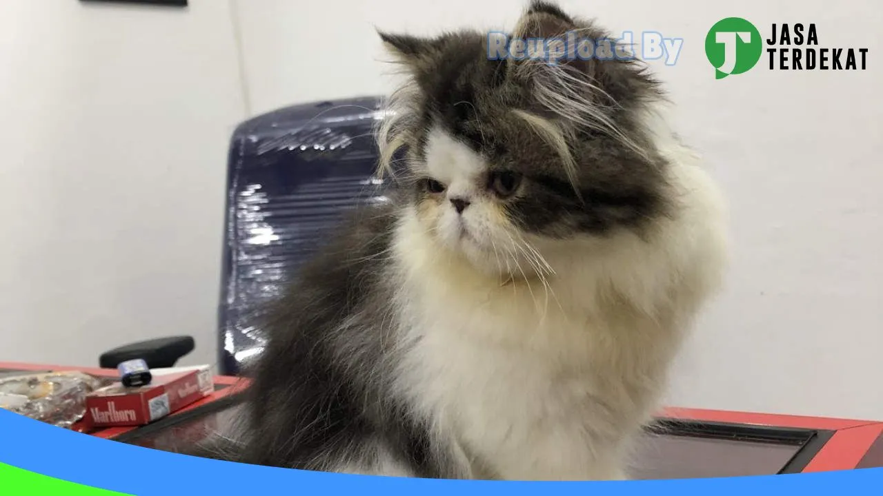 Gambar GeGe Petshop di Sawahlunto, Sumatera Barat ke 4