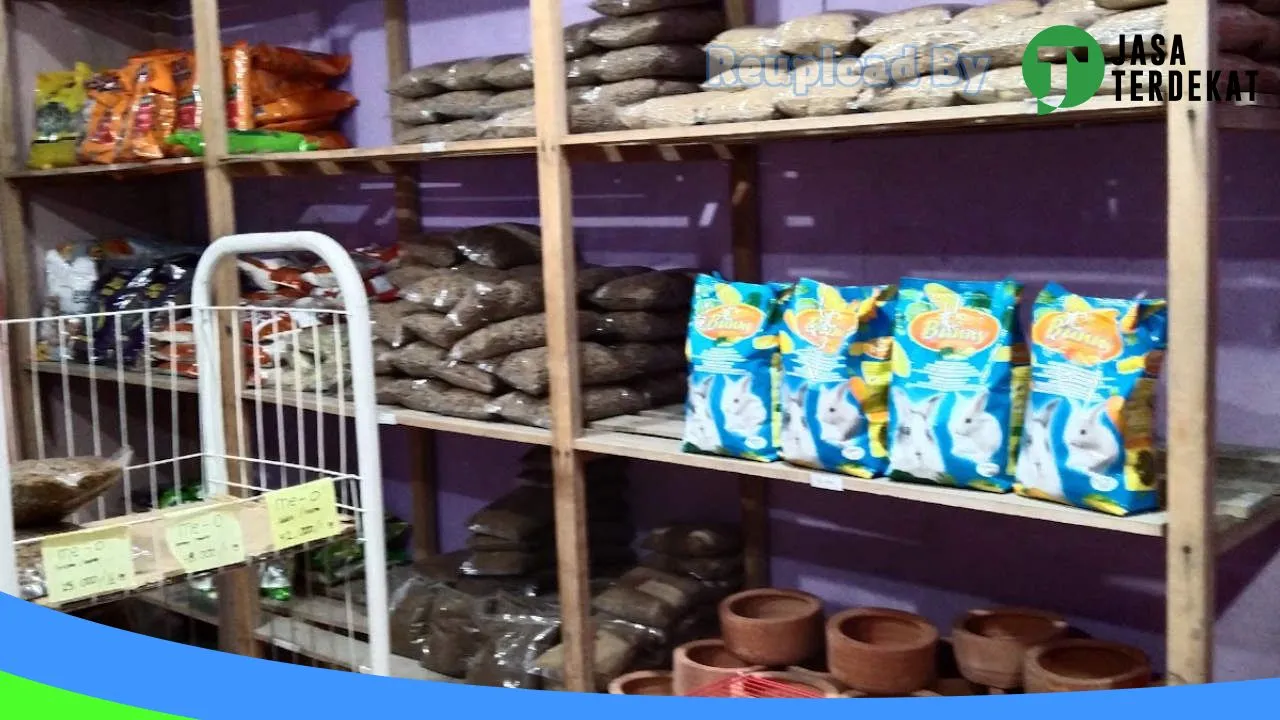 Gambar Nacary pet shop di Kotawaringin Timur, Kalimantan Tengah ke 3
