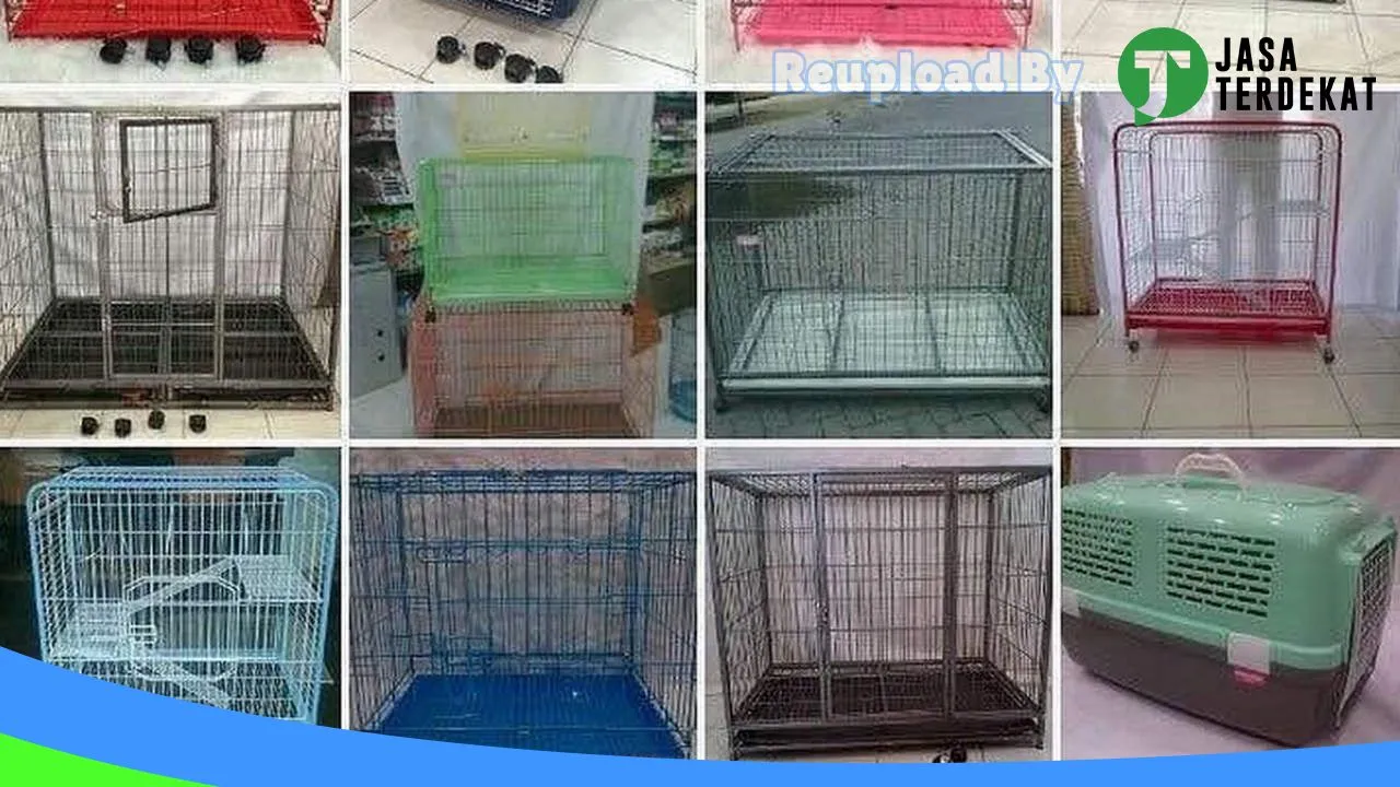 Gambar Hokky petshop di Kudus, Jawa Tengah ke 4