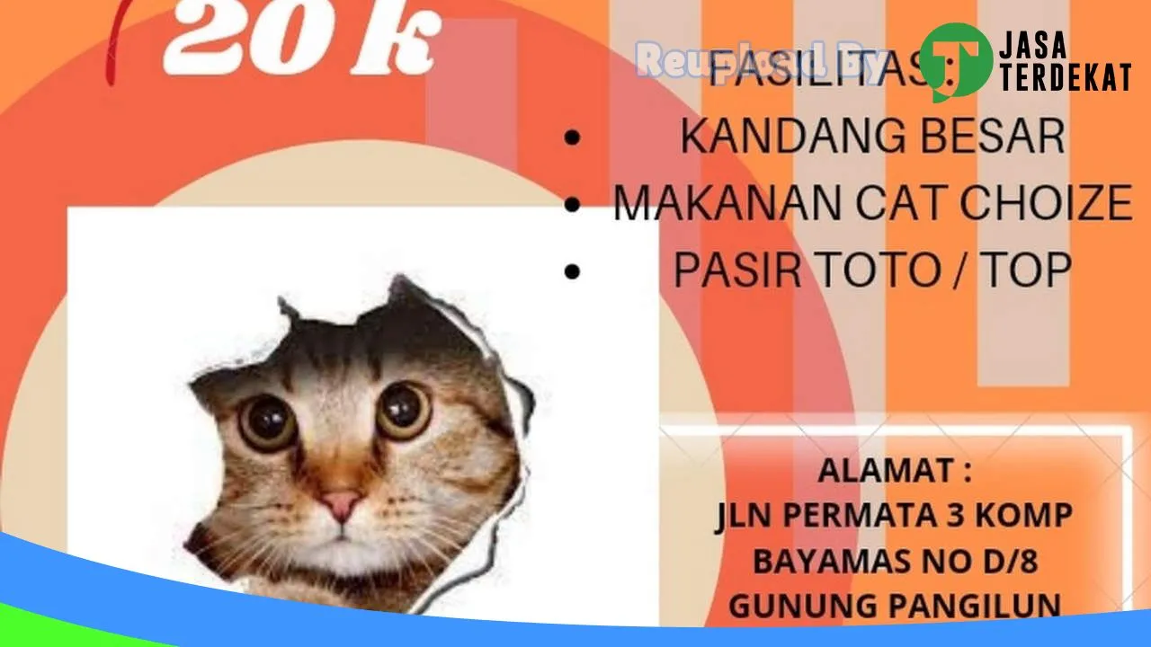 Gambar Alfabet Pet Shop di Sawahlunto, Sumatera Barat ke 1