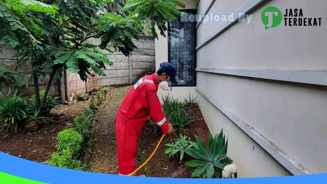 Gambar PestHunter Solusi Indonesia – Jasa Anti Rayap, Pest Control, Basmi Tikus, Basmi Hama, Fogging Nyamuk (Bergaransi) di Lebak, Banten ke 4