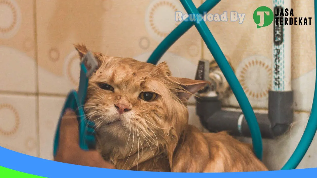 Gambar Pet Lover Shop Jakarta di Jakarta Timur, DKI Jakarta ke 5