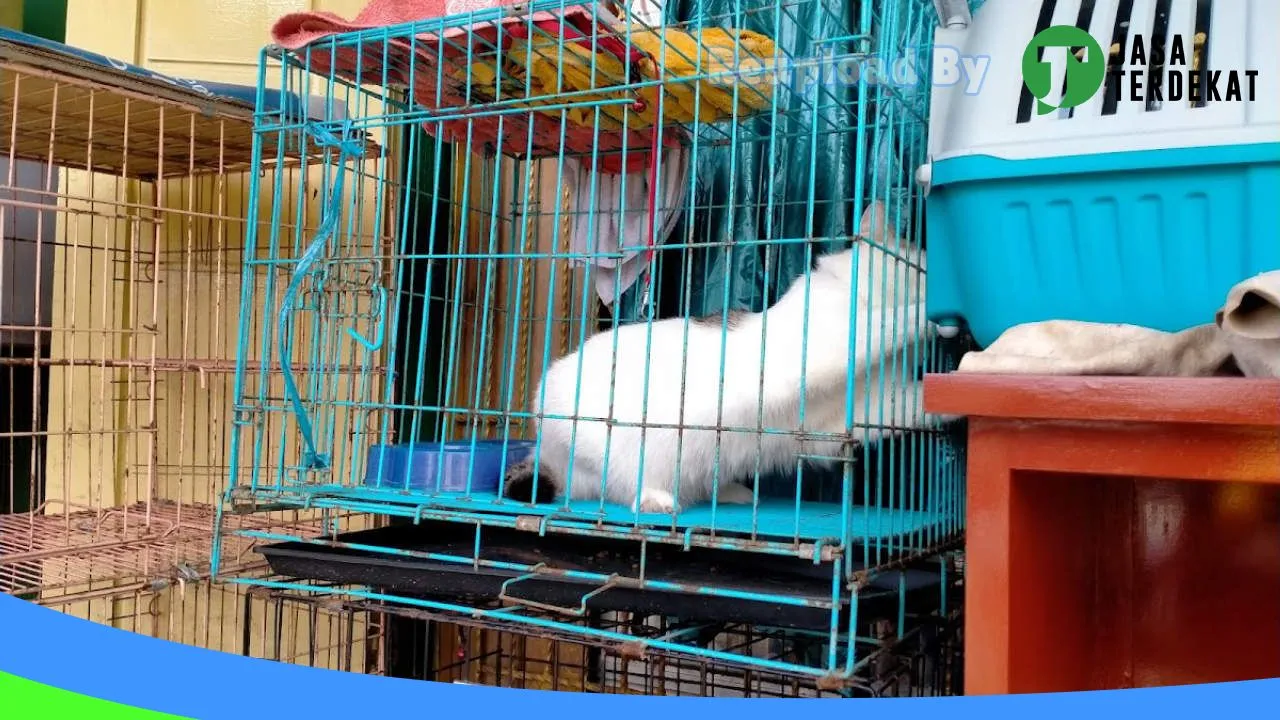 Gambar MA’AZZA PETSHOP di Supiori, Papua ke 1