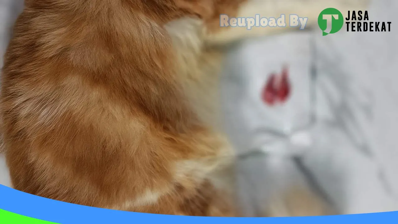 Gambar Vetpoint Petshop and Clinic di Aceh Besar, Aceh ke 1