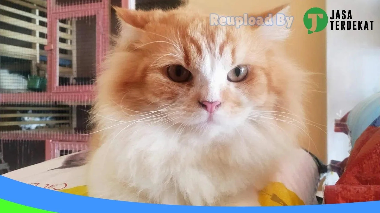 Gambar Oriental Pet Shop di Aceh Tenggara, Aceh ke 1