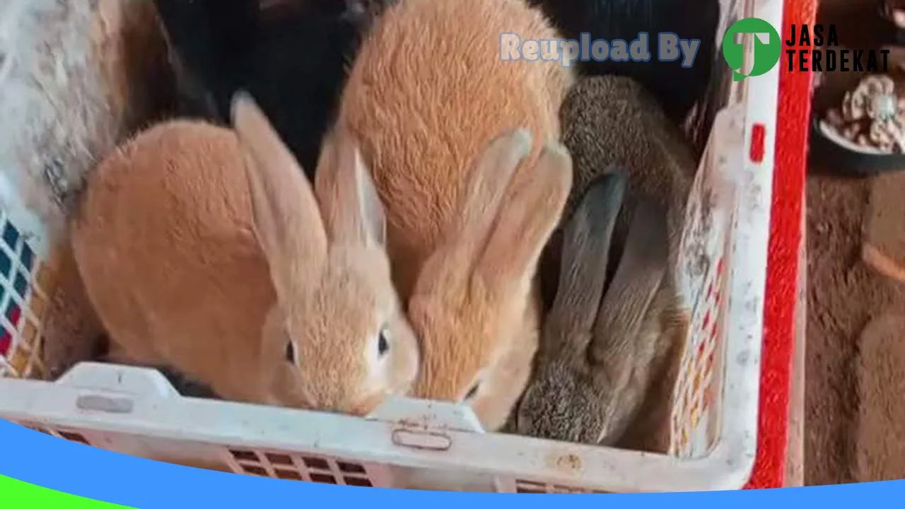 Gambar KELINCIKU PACITAN di Pacitan, Jawa Timur ke 1