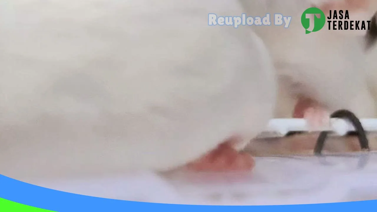 Gambar Hamster Shop di Hulu Sungai Tengah, Kalimantan Selatan ke 3