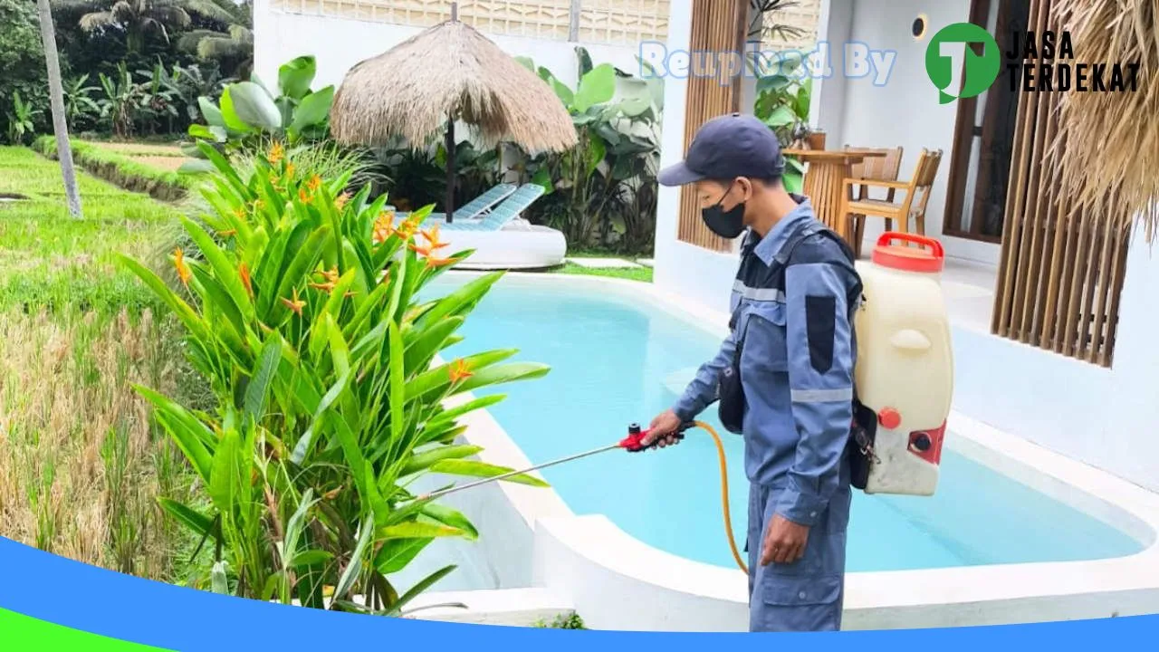 Gambar Jasa fogging nyamuk di Karangasem, Bali ke 5