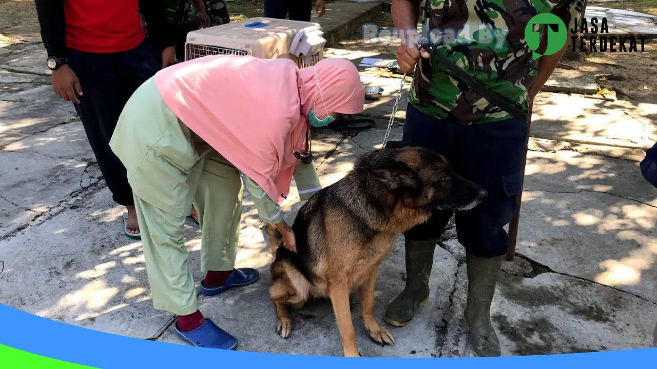 Gambar Healthy Pet Madiun di Kota Madiun, Jawa Timur ke 2