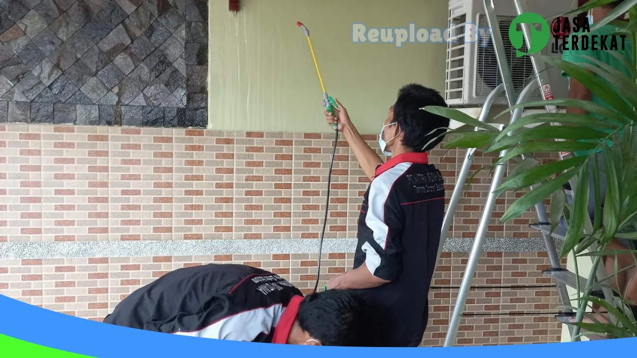 Gambar PT.ANTIRA INDAH UTAMA – ANTIRA PEST MEDAN Jasa Anti Rayap Termite Control Jasa Pest Control Jasa Fogging Nyamuk di Pakpak Bharat, Sumatera Utara ke 3