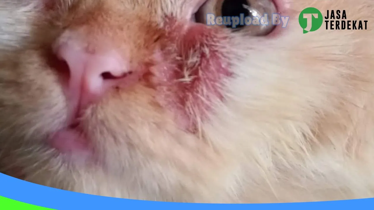 Gambar Dokter Hewan Prabumulih (drh Yudi G) di Prabumulih, Sumatera Selatan ke 1