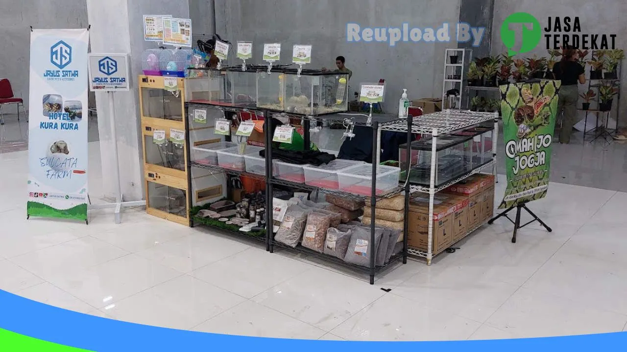 Gambar JAYUS SATWA PETSHOP REPTILE di Klaten, Jawa Tengah ke 1