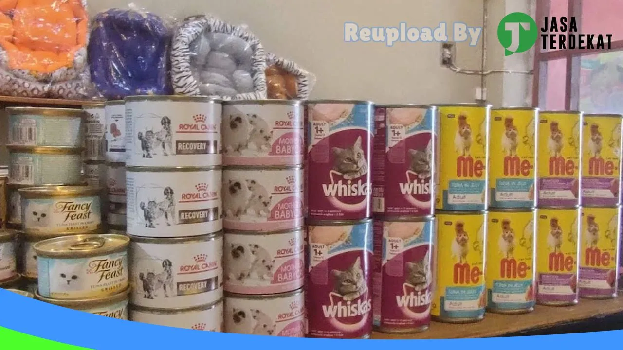 Gambar Chila Petshop 3 di Muna, Sulawesi Tenggara ke 4