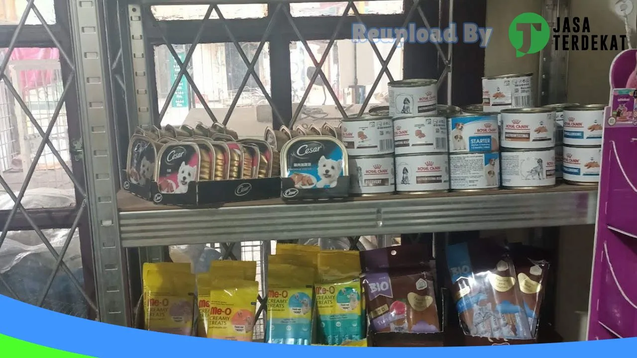 Gambar Alona Pet Shop di Medan, Sumatera Utara ke 1