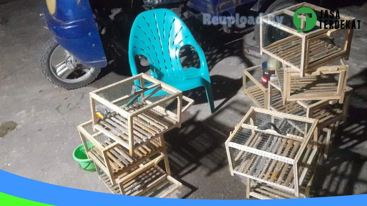 Gambar Jual Kelinci Pringsewu Lampung di Pringsewu, Lampung ke 1