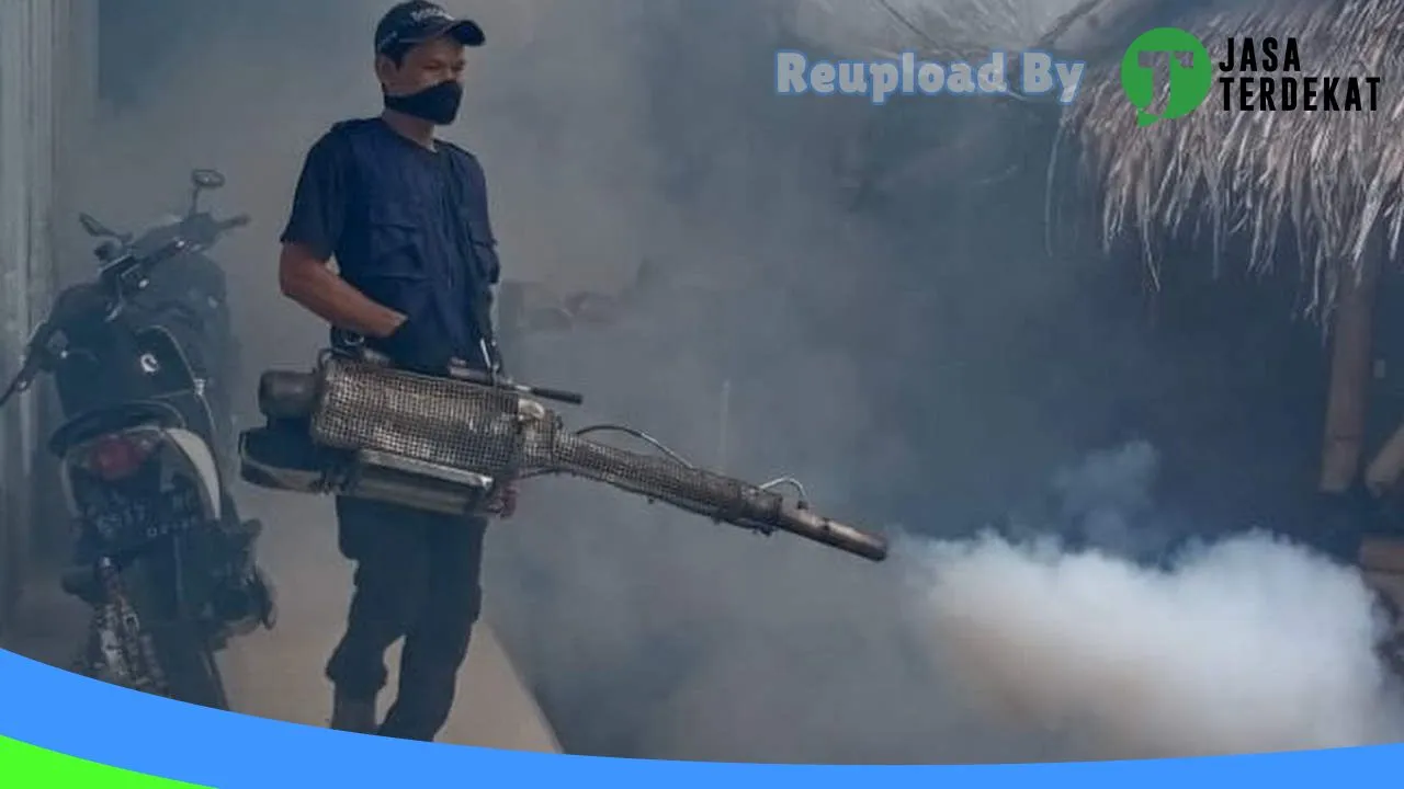 Gambar DWIJAYA JASA FOGGING NYAMUK, BASMI RAYAP, Rodent Control, Fumigasi, Disinfektan di Palangka Raya, Kalimantan Tengah ke 5