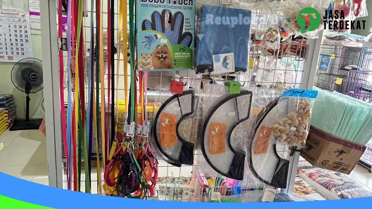 Gambar Diary Petshop Karanganyar di Karanganyar, Jawa Tengah ke 4