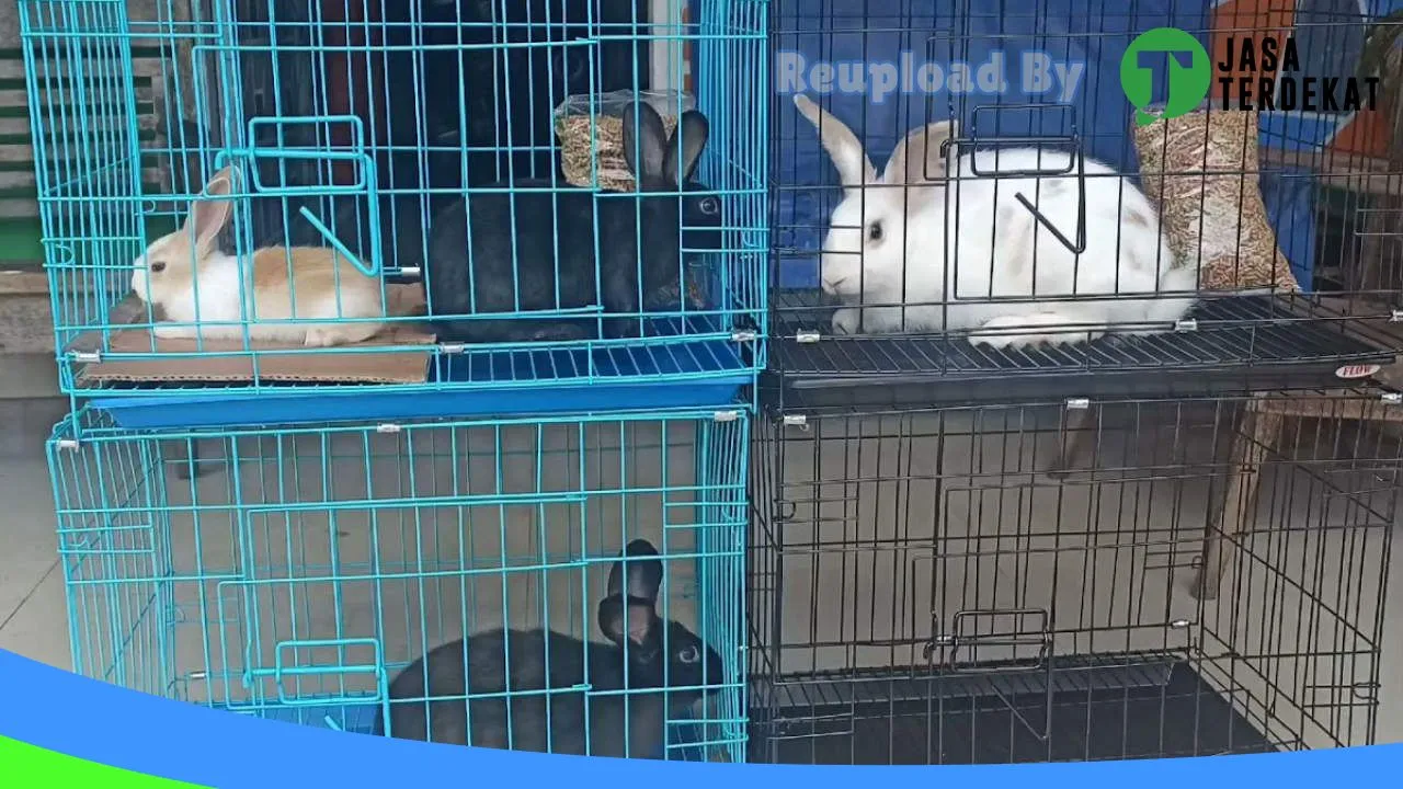 Gambar PetShop Langowan Timur di Minahasa Utara, Sulawesi Utara ke 1