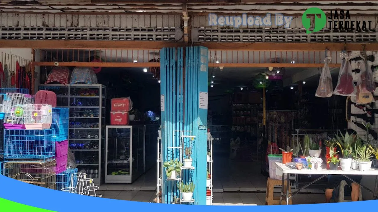 Gambar Toko Aneka Jaya ( Pet Shop dan Aquarium) di Seram Bagian Barat, Maluku ke 1
