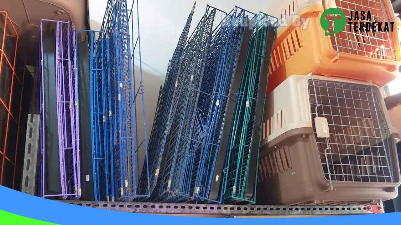 Gambar Rajawali Pet Shop Atambua di Belu, Nusa Tenggara Timur ke 5