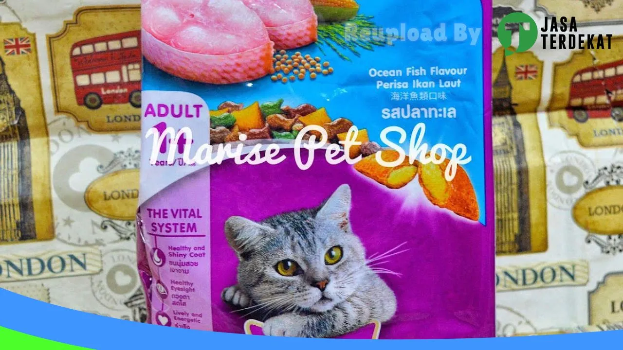 Gambar Marise Pet Shop & Sugar glider di Kota Bandung, Jawa Barat ke 2