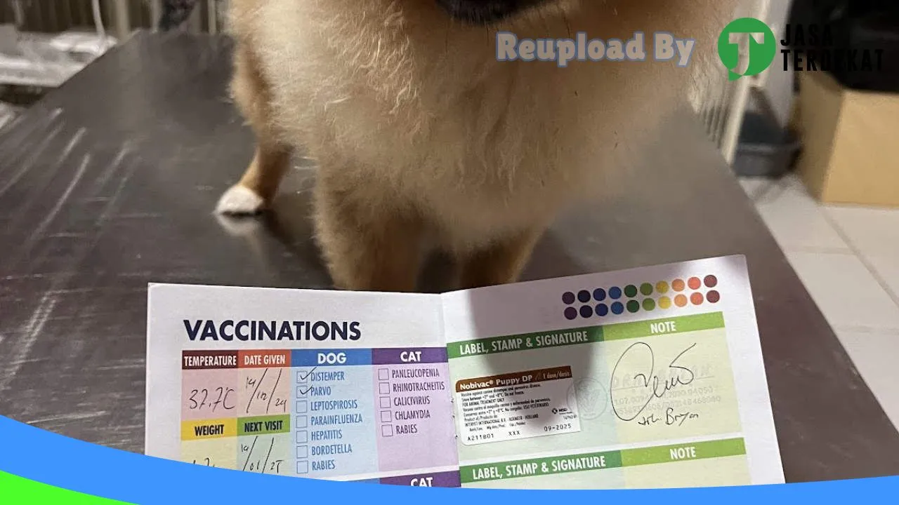 Gambar Klinik Hewan Malinau (Malinau Petcare) di Malinau, Kalimantan Utara ke 4