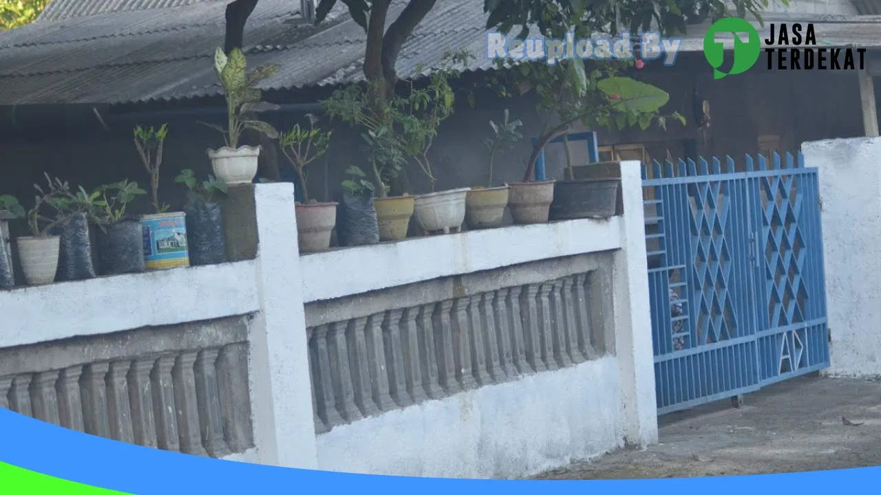 Gambar Muezza cw petshop di Lombok Tengah, Nusa Tenggara Barat ke 1