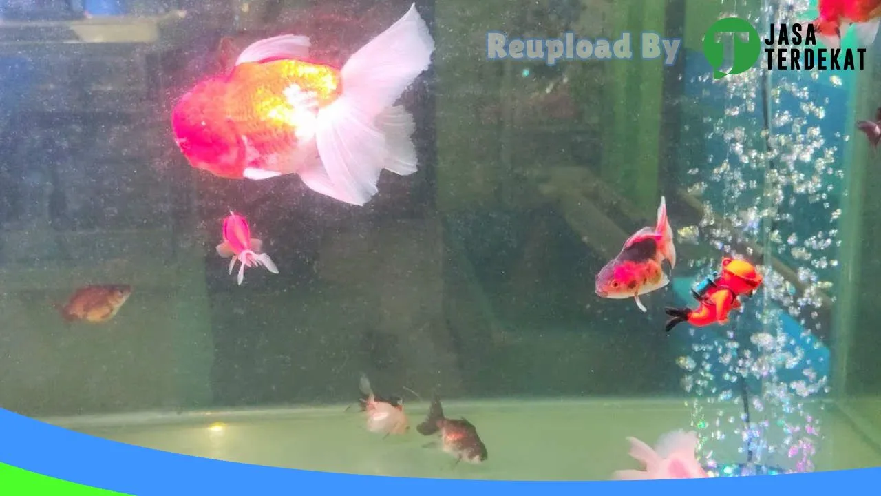 Gambar Nakama Aquatic di Tapanuli Selatan, Sumatera Utara ke 3