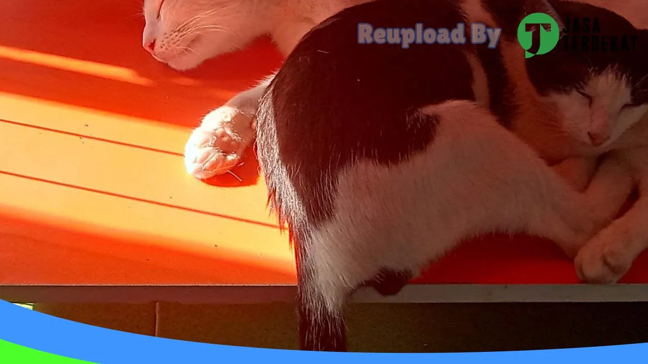 Gambar FRESH PETSHOP di Luwu, Sulawesi Selatan ke 4