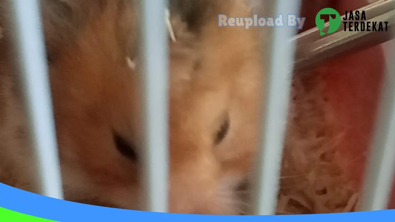 Gambar MEOLAND’S PETSHOP & GROOMING di Takalar, Sulawesi Selatan ke 1