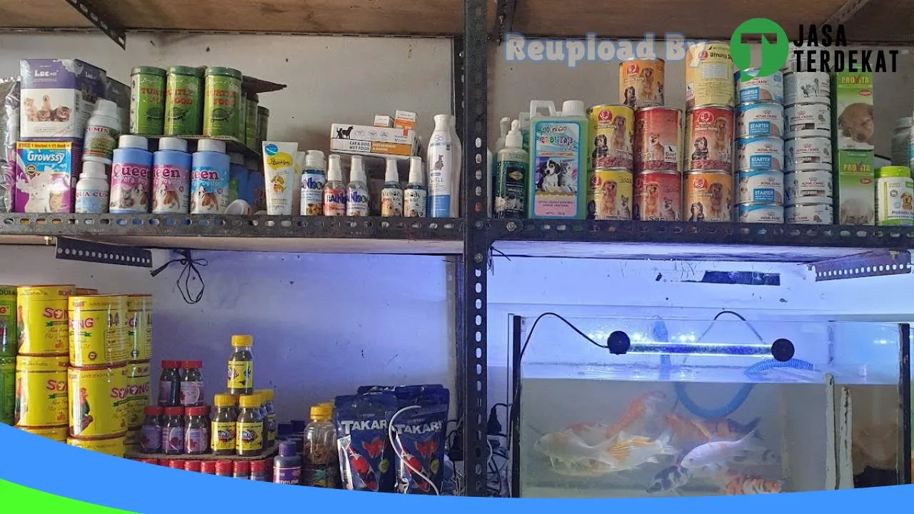 Gambar Rajawali Pet Shop Atambua di Belu, Nusa Tenggara Timur ke 1