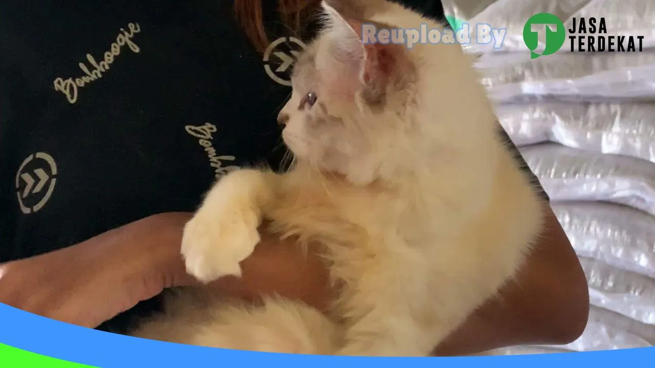 Gambar FANATIQUE PetStore and Care di Kota Blitar, Jawa Timur ke 1