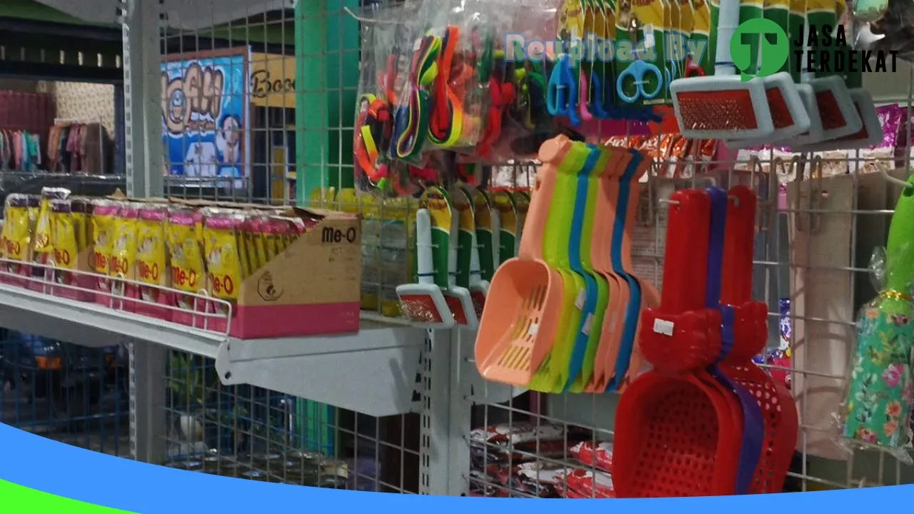 Gambar Dokter Hewan NOAH Vet Care di Kotawaringin Barat, Kalimantan Tengah ke 1