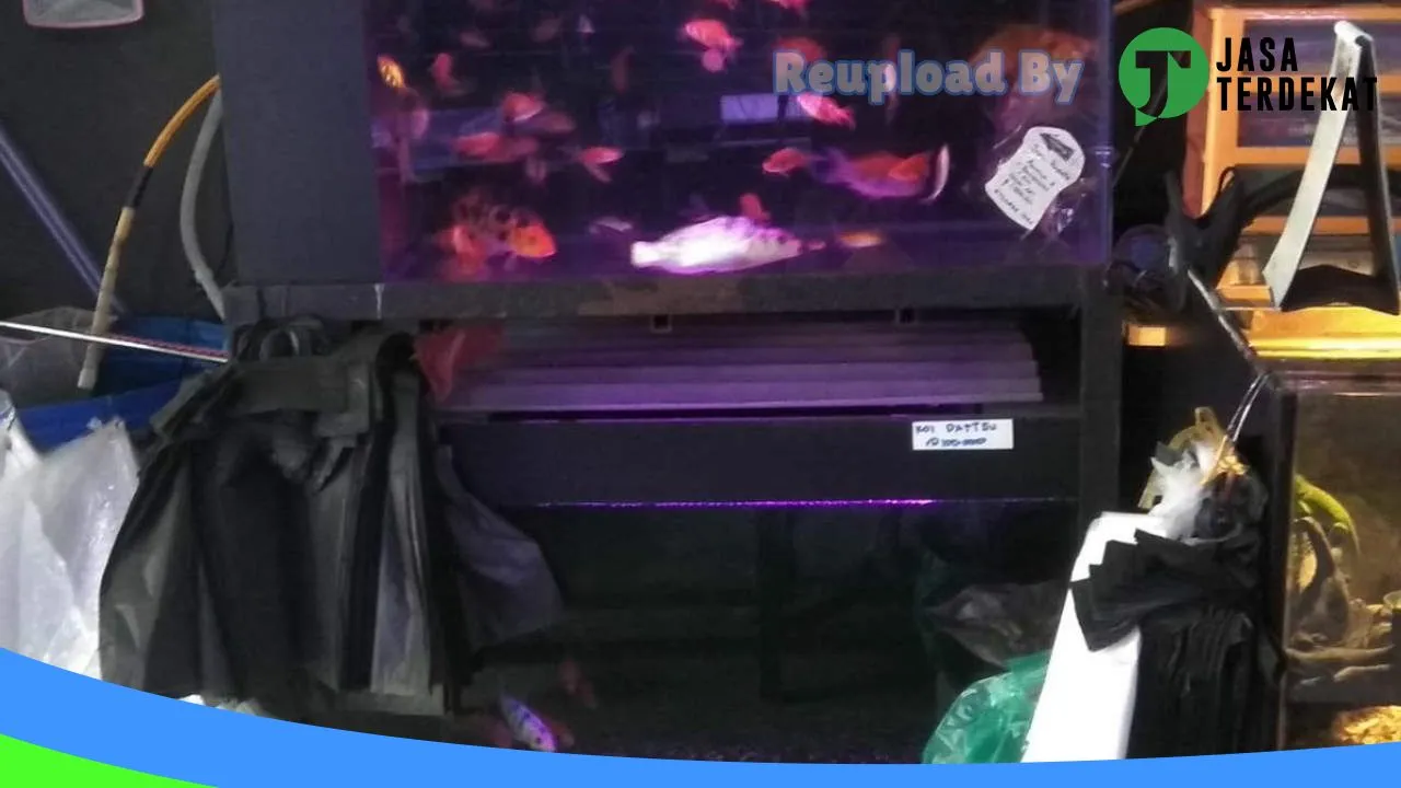 Gambar Aquazy Aquarium di Dairi, Sumatera Utara ke 3