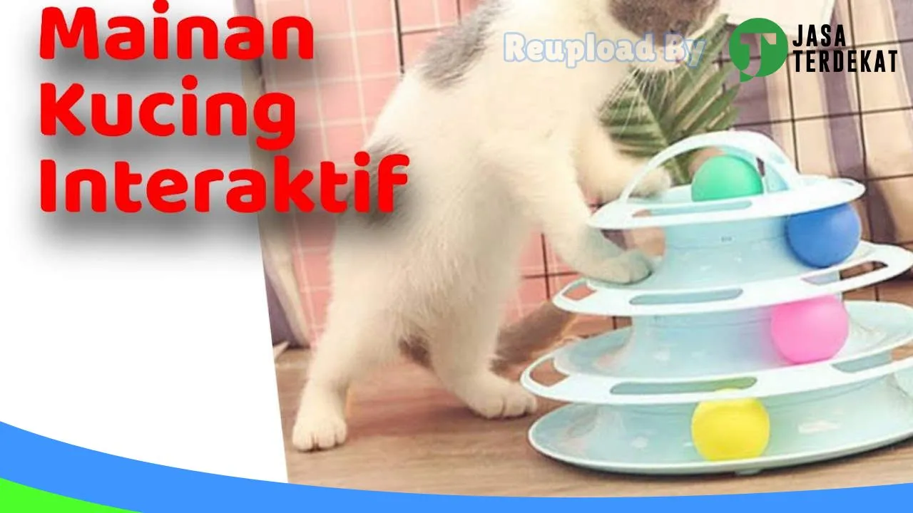 Gambar Bless Catshop di Cianjur, Jawa Barat ke 4