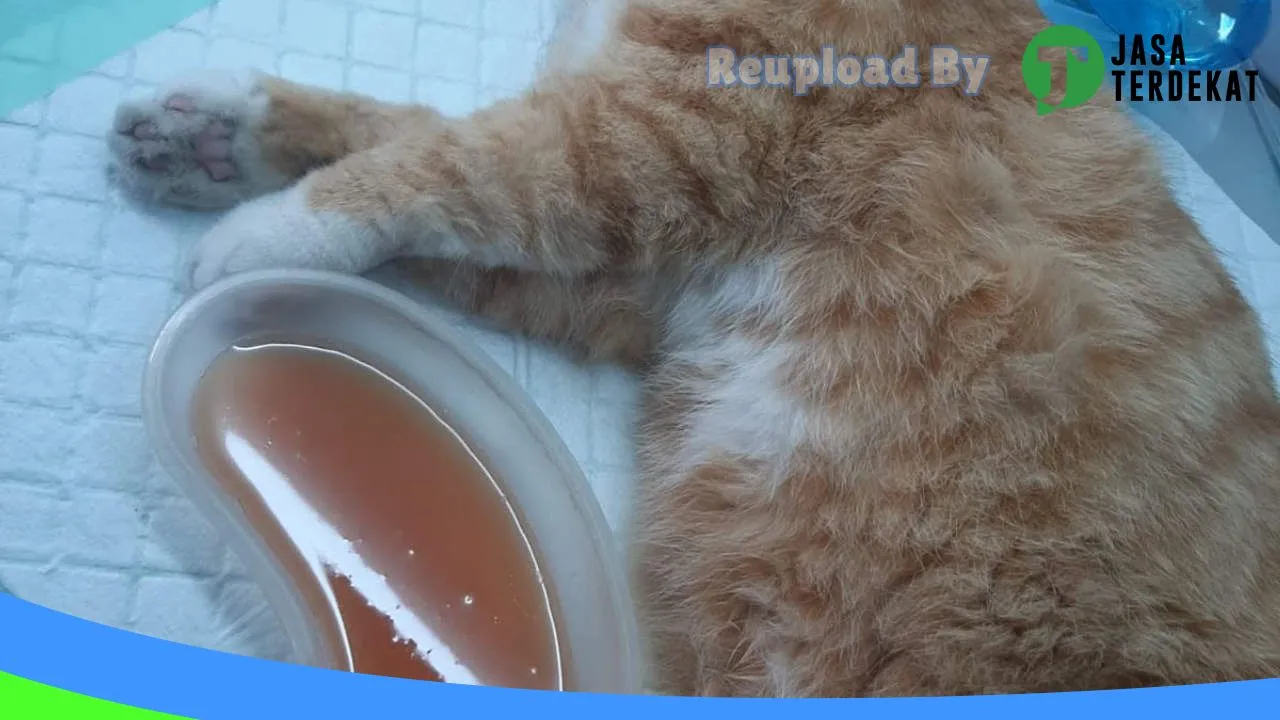 Gambar Pasuruan Petshop & Petcare di Pasuruan, Jawa Timur ke 4