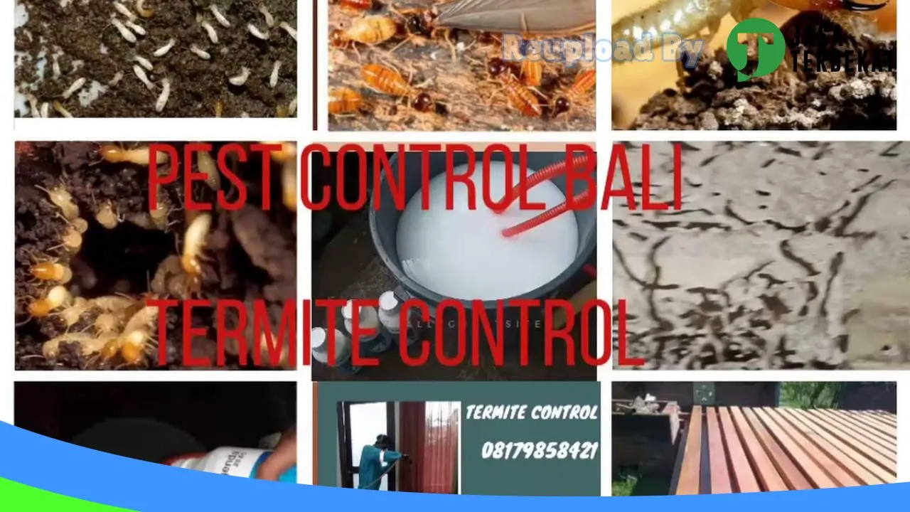 Gambar Pest control bali di Karangasem, Bali ke 1