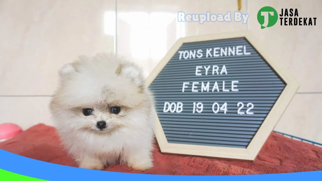 Gambar TonsKennel Medan Petshop di Medan, Sumatera Utara ke 2