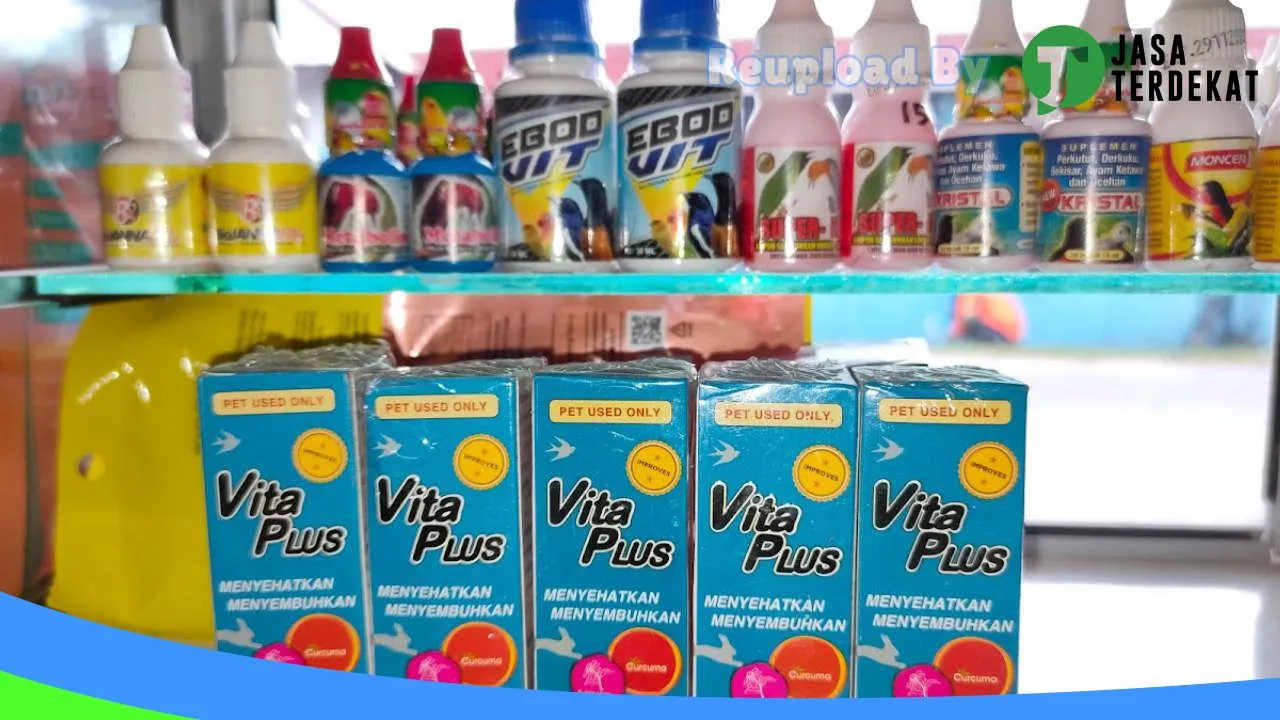 Gambar Chisu Petshop di Kotawaringin Timur, Kalimantan Tengah ke 2