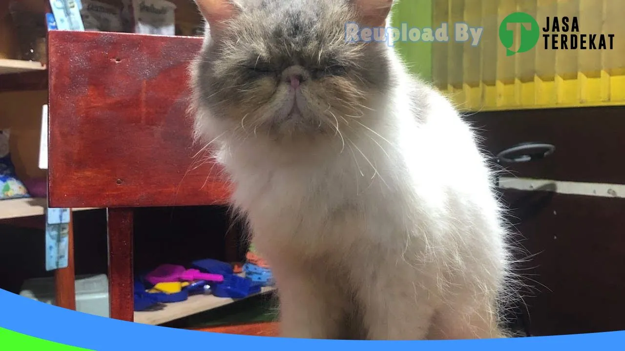 Gambar Ns petshop & pet grooming menes di Pandeglang, Banten ke 4