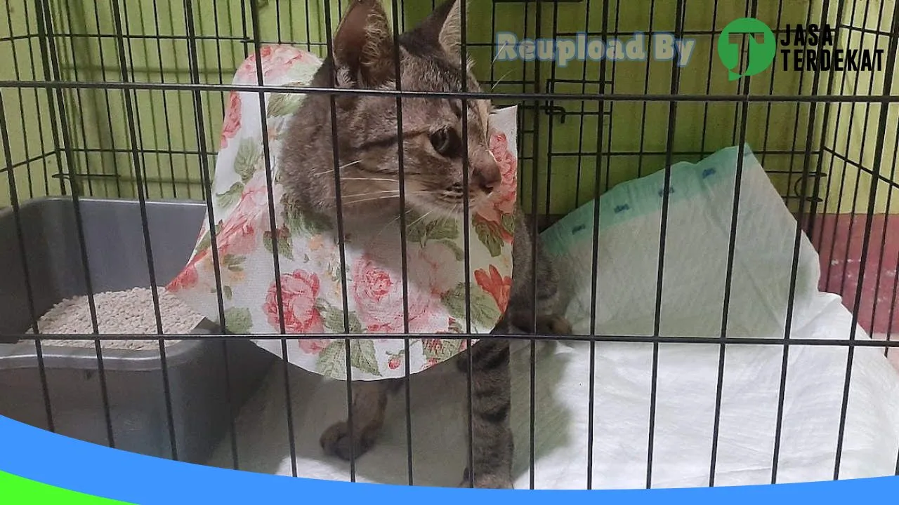 Gambar PETHOUSE (Pet Shop, Pet Grooming, Pet Hotel) di Bantul, DI Yogyakarta ke 1