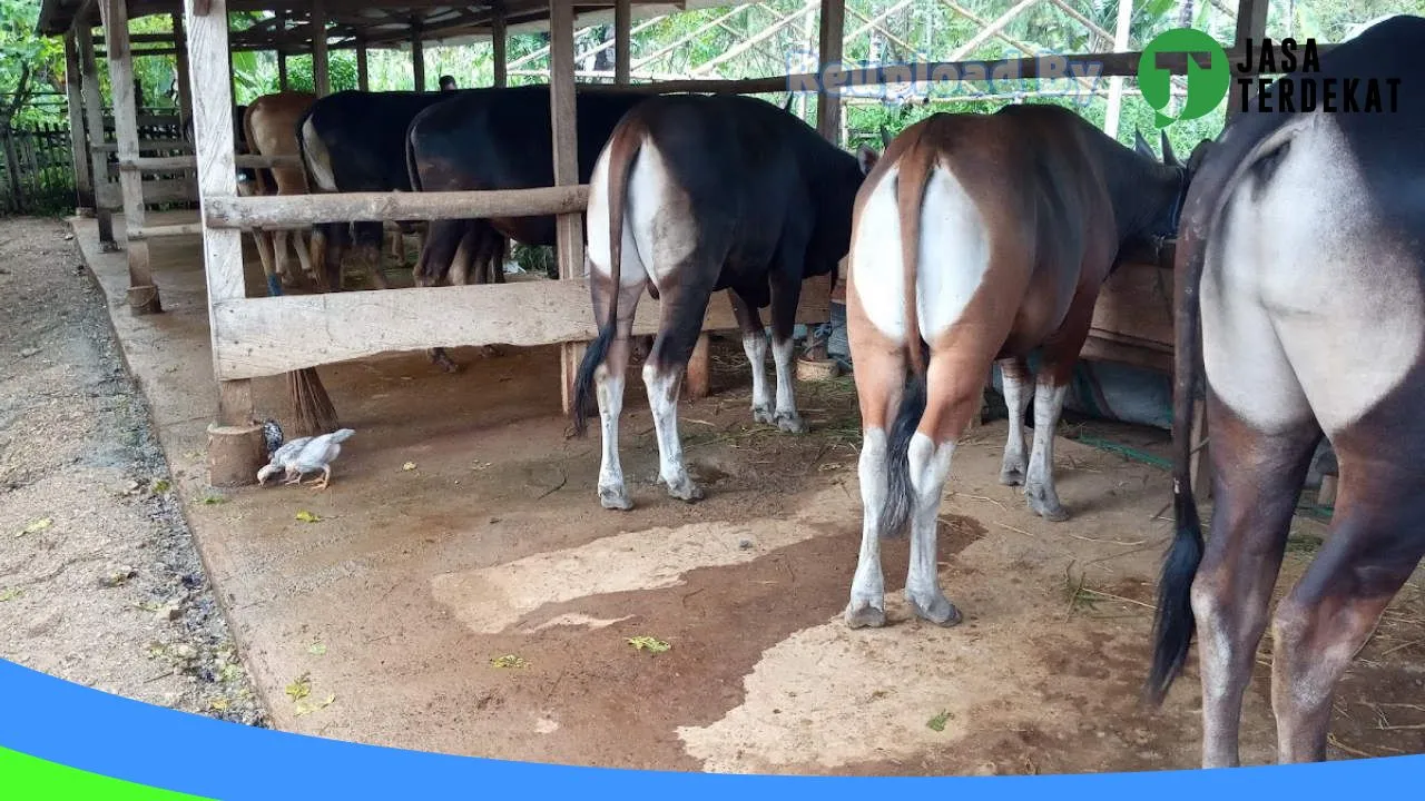 Gambar Qurban Barokah Gorontalo di Bone Bolango, Gorontalo ke 2