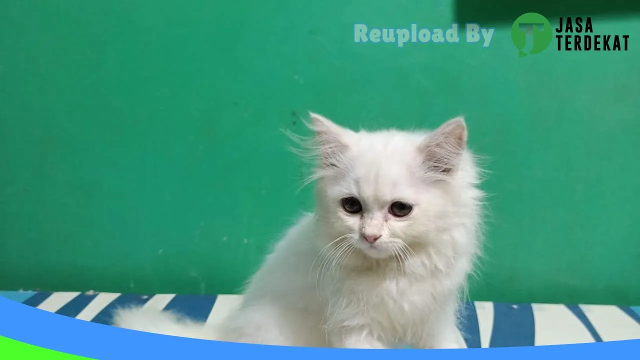 Gambar Ratu Cathouse Sukabumi di Sukabumi, Jawa Barat ke 5