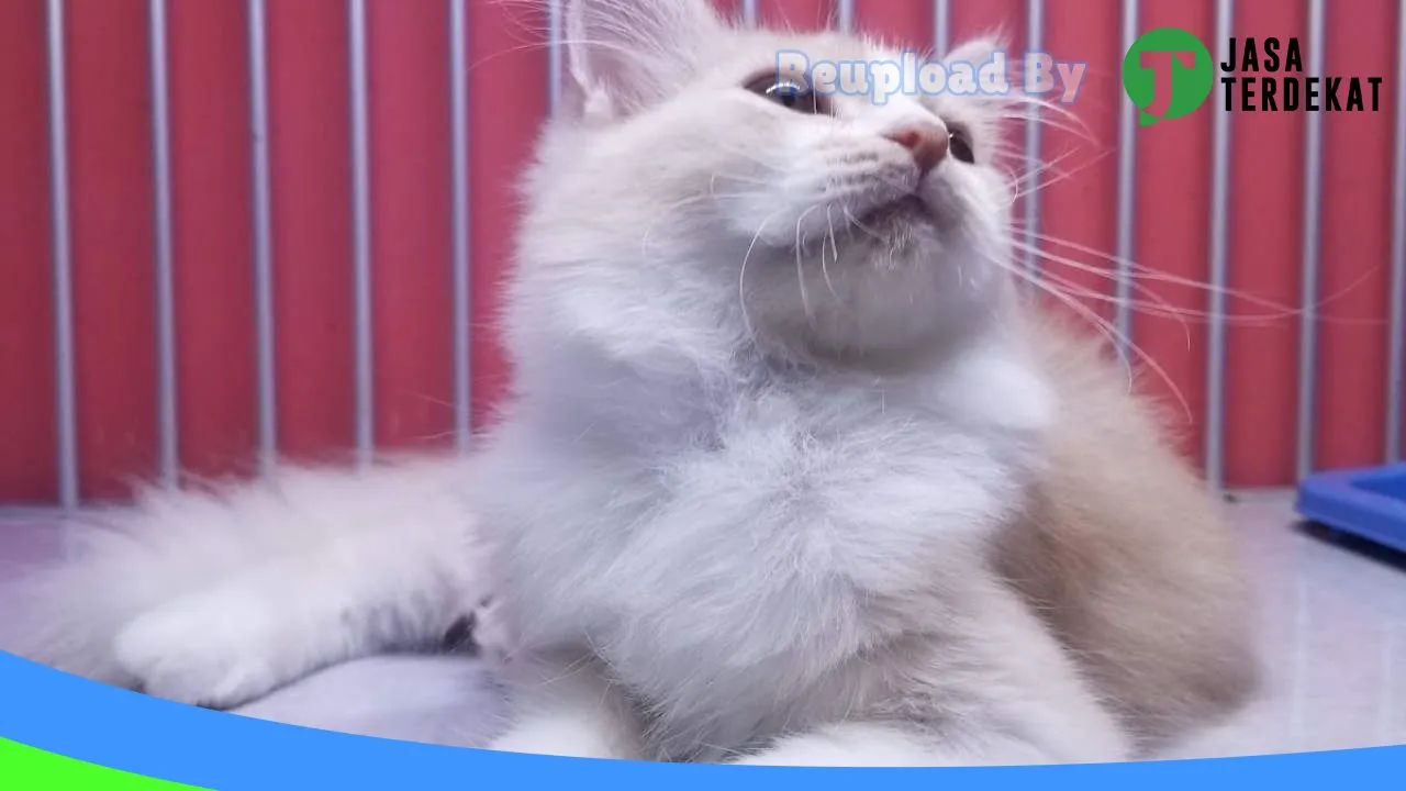 Gambar S&S PETSHOP di Muaro Jambi, Jambi ke 2