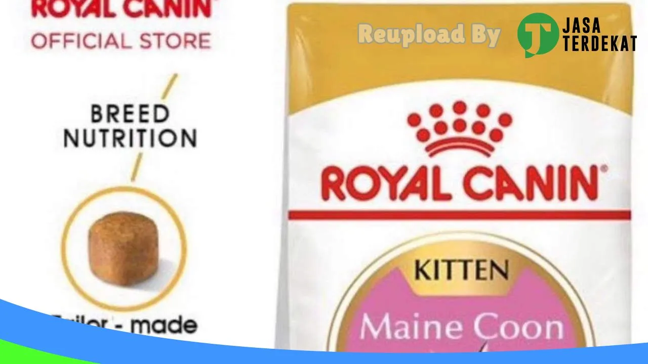 Gambar Choki and Friends Petshop di Wajo, Sulawesi Selatan ke 4