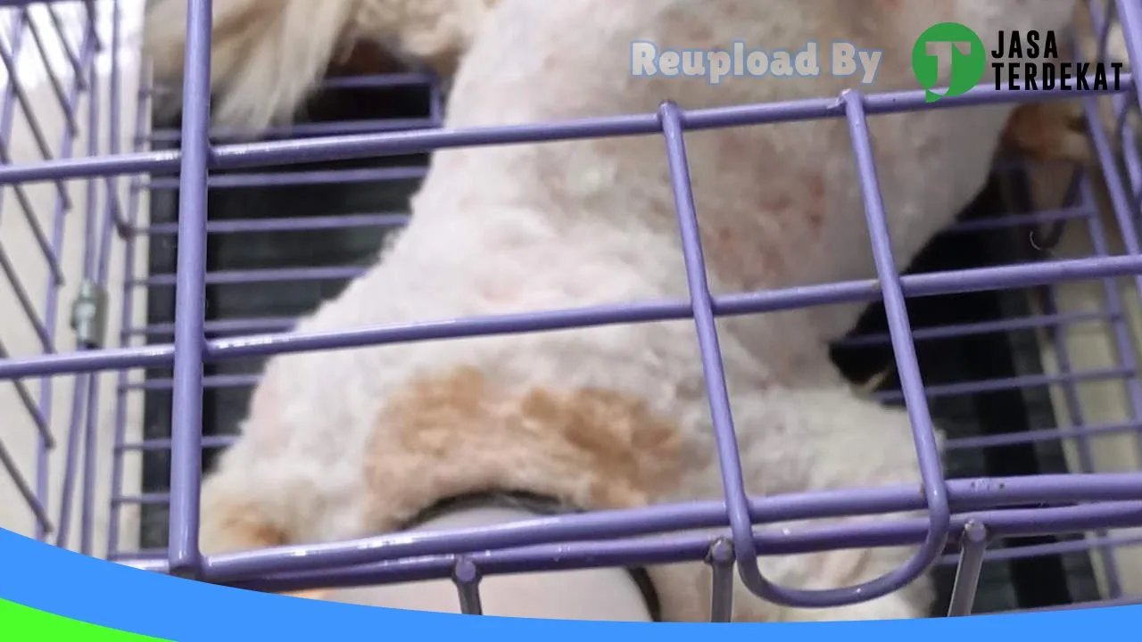 Gambar AA PETCARE PETSHOP & GROOMING, Dokter Hewan Yossy Yondhana di Jombang, Jawa Timur ke 3