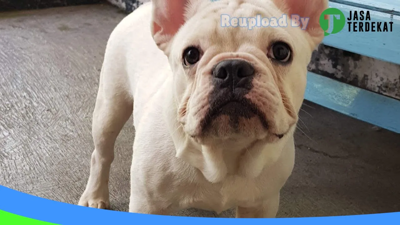 Gambar Zahra Pet Shop & Grooming di Sukabumi, Jawa Barat ke 3